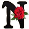 nados29