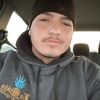 vega_81