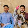 afaqwarsi3