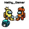 nathy_gamer0