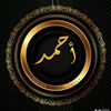 almasry158