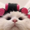_.nssswww