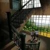 _quangthanh9