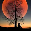 yashyeli.nina