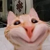 xp..n