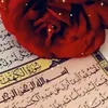noornm75