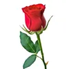 lucrezia1411