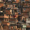 carioca