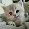 leryneverearly
