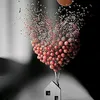 yargwll4