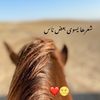 *❤️لا اله الا الله❤️🤍*