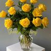 noori_644