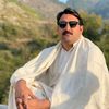 hamadkamal31
