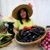 indahlestari5655