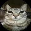 simon___mil