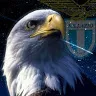 aquila892