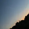 .justtlaura