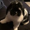 janet_rock01