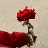 bayan2055
