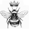 queenbrandywine