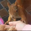 jennypepunkt1