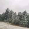 user14021688