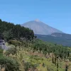 javi_soriano10
