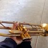 matiaspeltroche