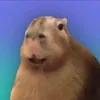 Melted Videos