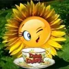 use11443572627281811