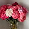 bon.bon_68