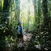 dammaytrang2709