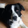 oreneta13
