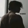 k.p_t1