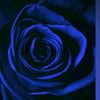 darkblue0907