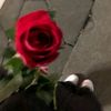 aya_ahmed540