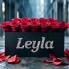 _leyla.11111