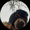 usersname_512