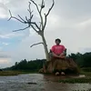 joyboy555