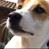 novody01