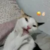 elenrodrigues95