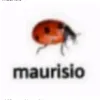 mauric.io_souza