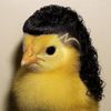 pitherchrist_