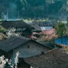 anhlong2609