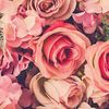 ross_rosa_
