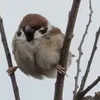 mataniti.hi