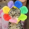 frrbb_
