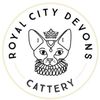 royalcitydevons