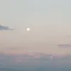fadyas5