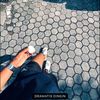 lippaww_